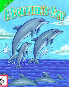 A Dolphin's Day海豚的一天